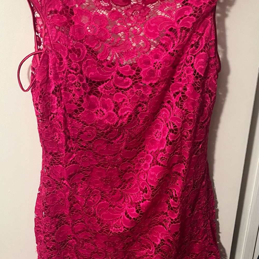 Theia Fuchsia Lace Women's Dress